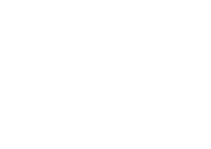 MS2 Turismo